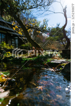 ミニチュア風日本庭園 ミニチュア風日本庭園 125230877