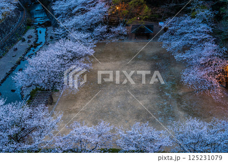 西山ダム下流公園の桜の夕景【長崎市】 西山ダム下流公園の桜の夕景【長崎市】 125231079