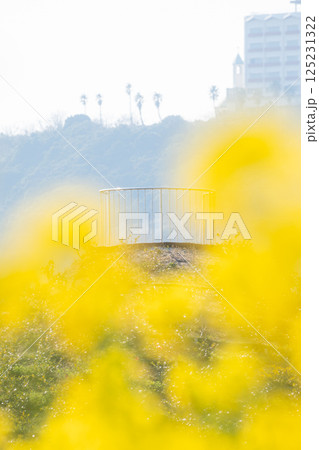 展望台と菜の花 展望台と菜の花 125231322