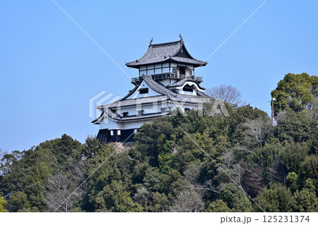 岐阜 国宝現存天守閣「犬山城」 青空に映える様子 岐阜 国宝現存天守閣「犬山城」 青空に映える様子 125231374