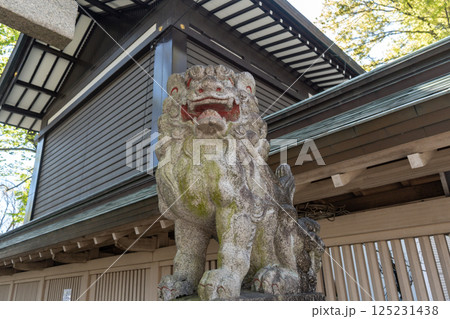 狛犬　府中市　東京都 125231438