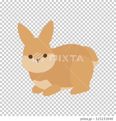かわいいうさぎの全身のイラスト 125231640