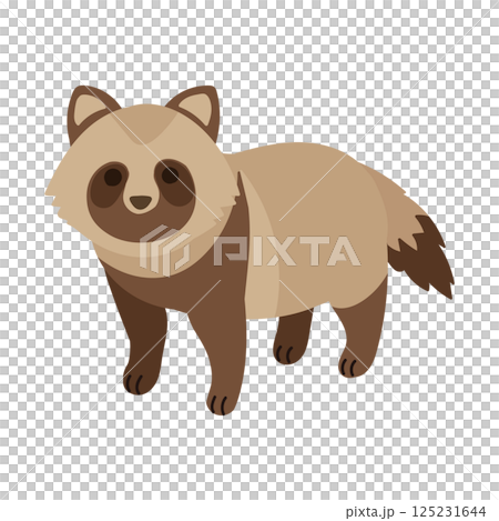 Illustration of a cute raccoon walking on all fours 125231644