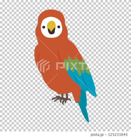 Illustration of a cute parrot looking this way 125231645
