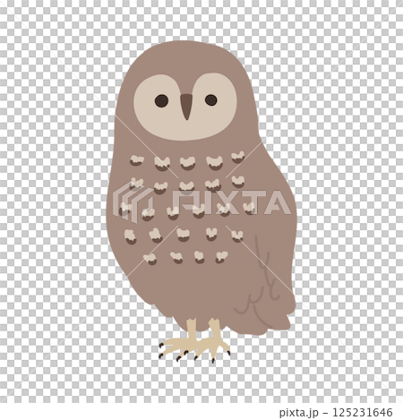 Illustration of a cute owl looking this way Illustration of a cute owl looking this way 125231646