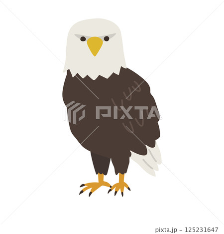 こっちを向いているワシのイラスト 125231647