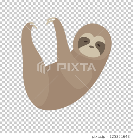 一隻可愛的樹懶掛著的插圖 一隻可愛的樹懶掛著的插圖 125231648