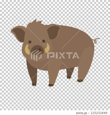 四足歩行のかわいい猪のイラスト 125231649