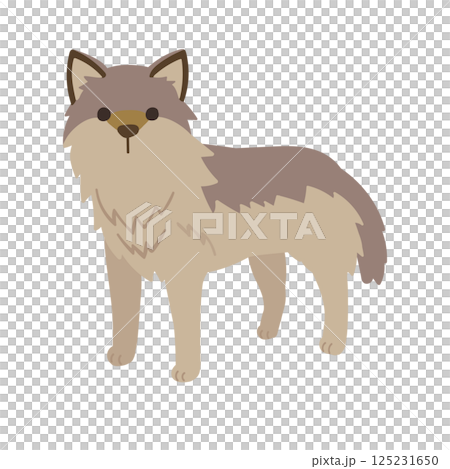 一隻可愛的四條腿的狼的插圖 一隻可愛的四條腿的狼的插圖 125231650