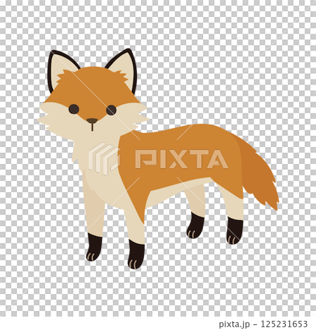 Illustration of a cute fox walking on all fours 125231653