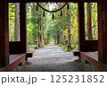 戸隠神社奥社　随神門から見る杉並木 125231852