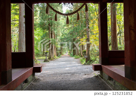 戸隠神社奥社 随神門から見る杉並木 戸隠神社奥社 随神門から見る杉並木 125231852