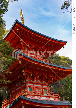 神戸・須磨寺・三重塔 神戸・須磨寺・三重塔 125232253