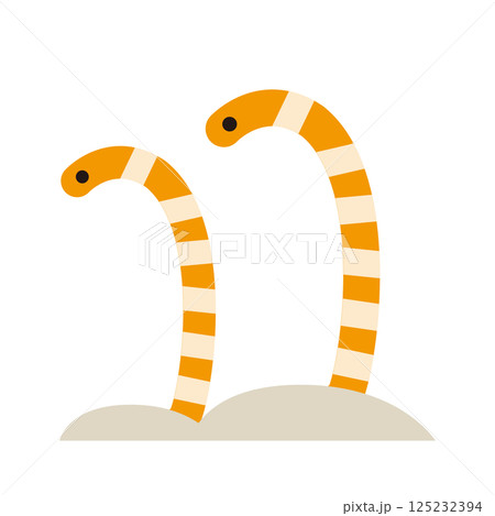 砂から顔を出すニシキアナゴのベクターイラスト素材 砂から顔を出すニシキアナゴのベクターイラスト素材 125232394