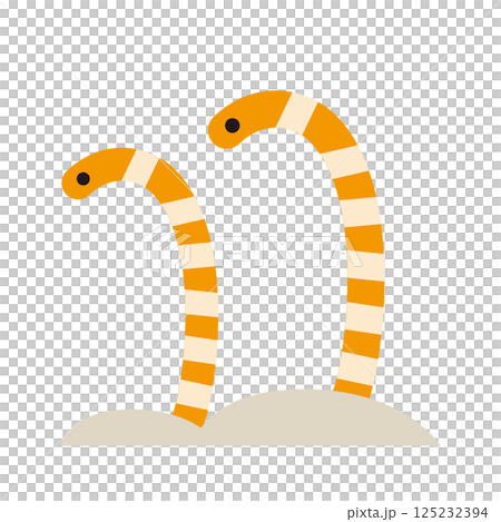 從沙子中浮現的日本海鰻的向量圖 125232394