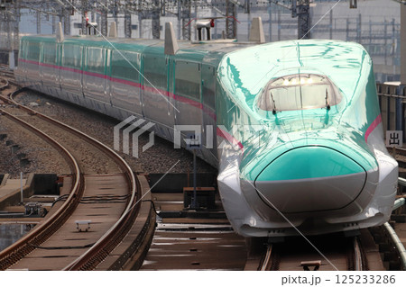 東北新幹線／北海道新幹線E5系（先行量産車：U1編成） 125233286