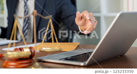Law and Technology. A lawyer discussing strategies while pointing to a laptop. Law and Technology. A lawyer discussing strategies while pointing to a laptop. 125233350