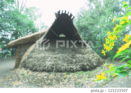 自然に囲まれた多摩市縄文の村の竪穴式住居の写真 自然に囲まれた多摩市縄文の村の竪穴式住居の写真 125233507