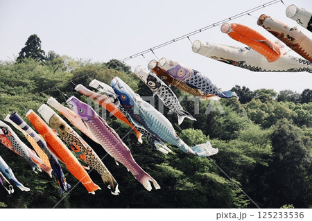 空を泳ぐ鯉のぼり 125233536