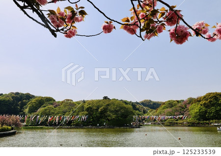 池のある公園の風景 125233539