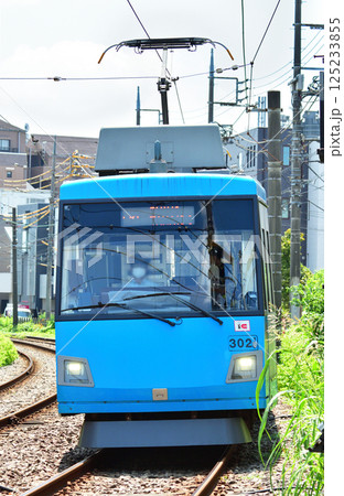 鉄道　私鉄：東急世田谷線　東急300系(デハ300系) 125233855