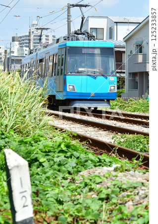 鉄道　私鉄：東急世田谷線　東急300系(デハ300系) 125233857