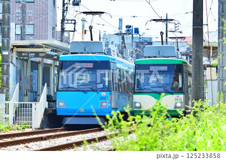 鉄道 私鉄:東急世田谷線 東急300系(デハ300系) 鉄道 私鉄:東急世田谷線 東急300系(デハ300系) 125233858