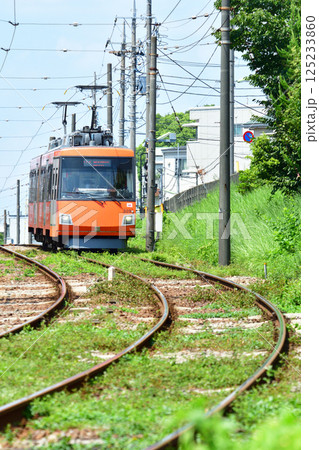 鉄道 私鉄:東急世田谷線 東急300系(デハ300系) 鉄道 私鉄:東急世田谷線 東急300系(デハ300系) 125233860