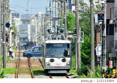 鉄道　私鉄：東急世田谷線　東急300系(デハ300系) 125233864