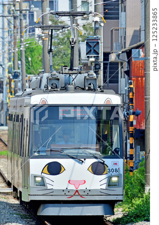 鉄道 私鉄:東急世田谷線 東急300系(デハ300系) 鉄道 私鉄:東急世田谷線 東急300系(デハ300系) 125233865