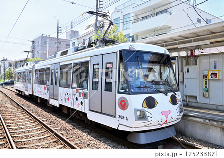 鉄道　私鉄：東急世田谷線　東急300系(デハ300系) 125233871