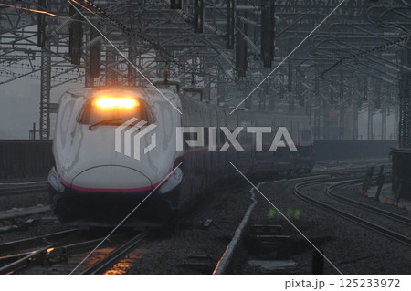 東北新幹線／上越新幹線E2系 125233972