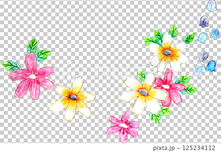 用水彩筆繪製的波斯菊和鈴蘭花 125234112