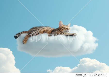 Curious Bengal Cat Stretching Lazily on Soft Cloud Under Blue Sky 125234450
