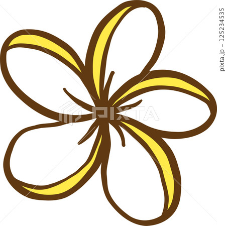 Summer Yellow Tropical Flower Frangipani flower Cartoon Hand Drawn Summer Yellow Tropical Flower Frangipani flower Cartoon Hand Drawn 125234535