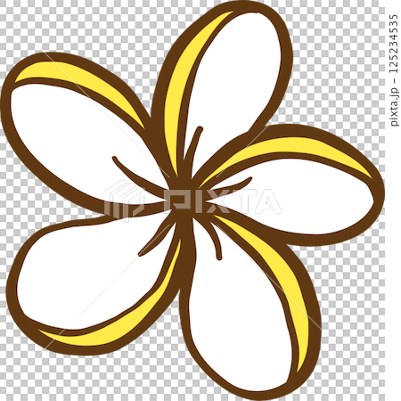Summer Yellow Tropical Flower Frangipani flower Cartoon Hand Drawn Summer Yellow Tropical Flower Frangipani flower Cartoon Hand Drawn 125234535