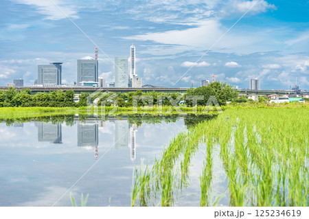 「埼玉県」見沼田んぼの春の風景 さいたま市 「埼玉県」見沼田んぼの春の風景 さいたま市 125234619