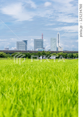 「埼玉県」見沼田んぼの美しい春風景　さいたま市 125234760