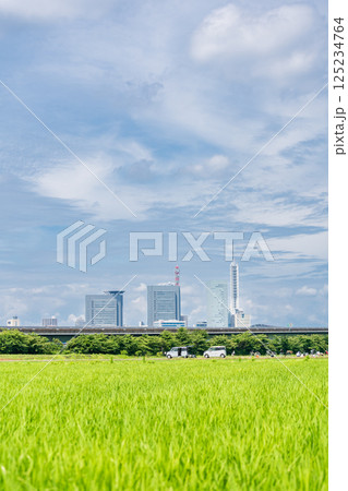 「埼玉県」見沼田んぼの美しい春風景　さいたま市 125234764