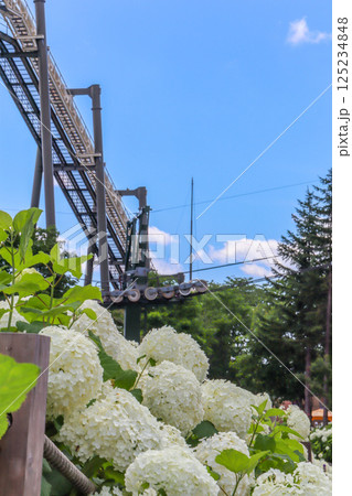 晴天の夏の高原、北海道ルスツリゾート リフト・ゴンドラをアナベル越しに 晴天の夏の高原、北海道ルスツリゾート リフト・ゴンドラをアナベル越しに 125234848
