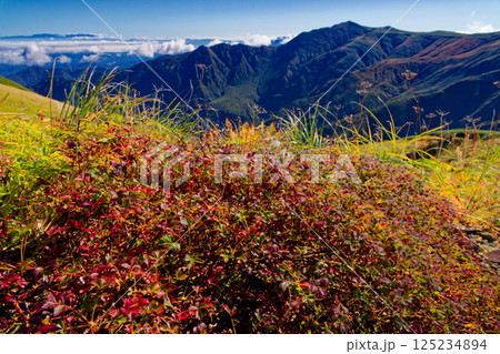 飯豊連峰・主稜線縦走路のチングルマの紅葉と飯豊本山 125234894