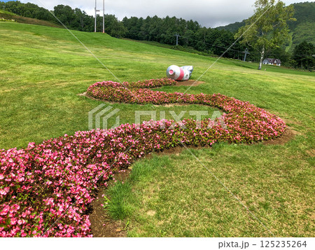 晴天の夏の高原、北海道ルスツリゾートの絵の具花壇 晴天の夏の高原、北海道ルスツリゾートの絵の具花壇 125235264