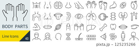 人体に関する線画アイコンセット 125235266