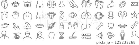ベクターでモノクロの人体に関する線画アイコンセット ベクターでモノクロの人体に関する線画アイコンセット 125235269
