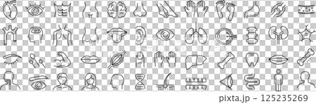 ベクターでモノクロの人体に関する線画アイコンセット ベクターでモノクロの人体に関する線画アイコンセット 125235269