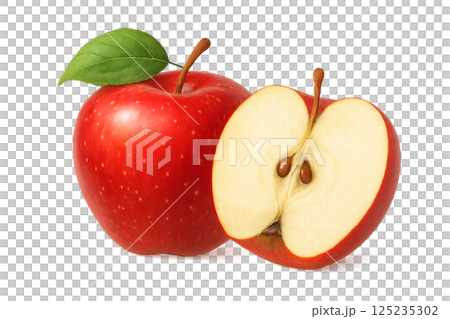 りんごとリンゴ断面のイラスト素材、林檎、アップル 125235302