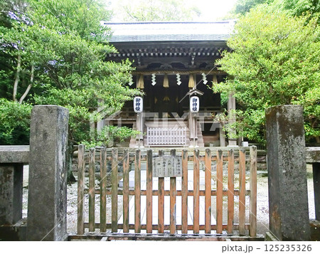 伊豆下田の白濱神社の本殿（静岡県下田市） 125235326