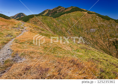 飯豊連峰・主稜線縦走路の草紅葉と烏帽子岳・北股岳 125235361