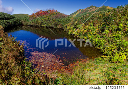 飯豊連峰・主稜線縦走路の御手洗池と烏帽子岳 125235363