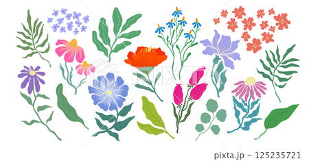 色んな形の花と葉の植物のイラストセット カラフルな花のベクターイラスト 色んな形の花と葉の植物のイラストセット カラフルな花のベクターイラスト 125235721